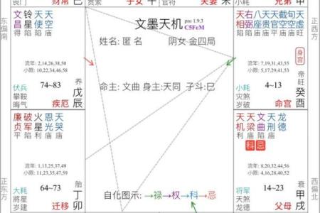 如何解读最准的紫薇排盘，揭开命运的神秘面纱