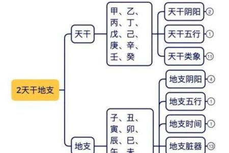 天干如何影响空间感知？你不得不知的秘密