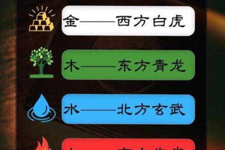天干之间的五行互动揭示生命的秘密