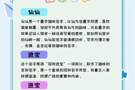 猫咪起名小技巧，轻松选出最合适的名字