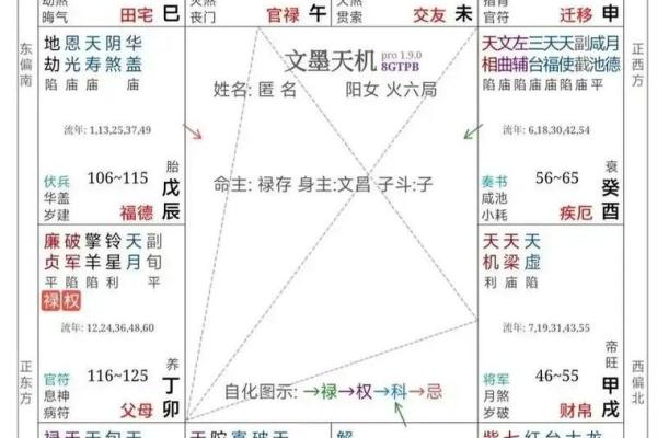 解密紫微斗数四化飞星排盘：提升运势的关键技巧