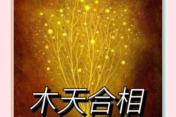 木命是啥意思？揭秘人生运势中的神秘密码