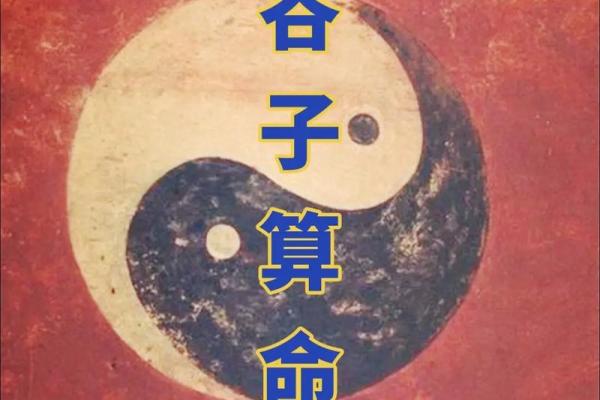 生辰八字立子年解析，运势与未来全盘了解