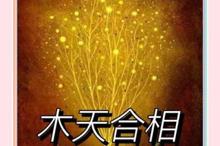 木命是啥意思？揭秘人生运势中的神秘密码