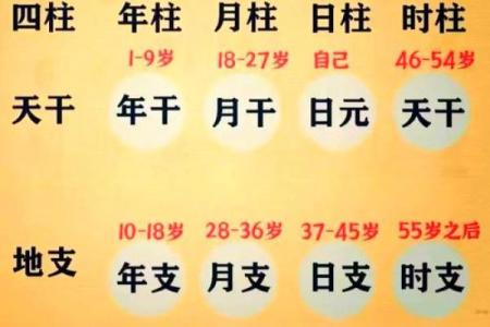 宝宝生辰八字查询，准确分析未来发展趋势