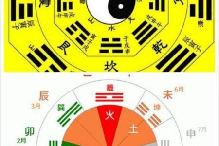 刘五行属性解析：揭开神秘面纱