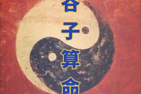 生辰八字立子年解析，运势与未来全盘了解