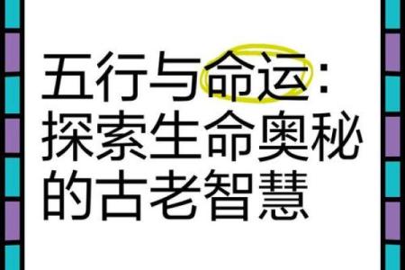 五行与命运的关系：你必须知道的秘密