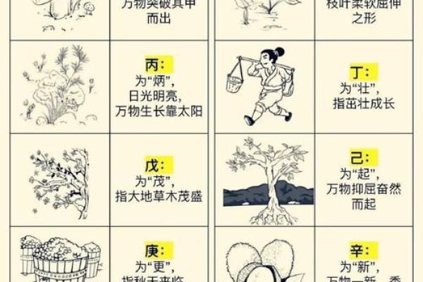 学会天干势，打破命运的束缚