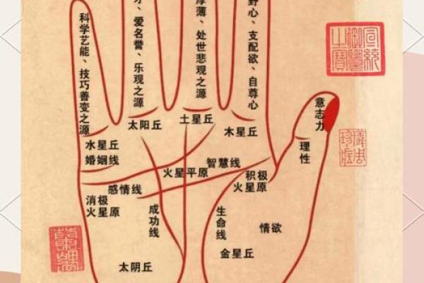 手相上看穿穷命：你的命运藏在这手掌纹路之中
