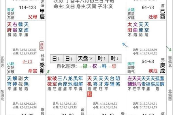 解密玄空紫微斗数排盘：如何通过命盘揭示人生轨迹
