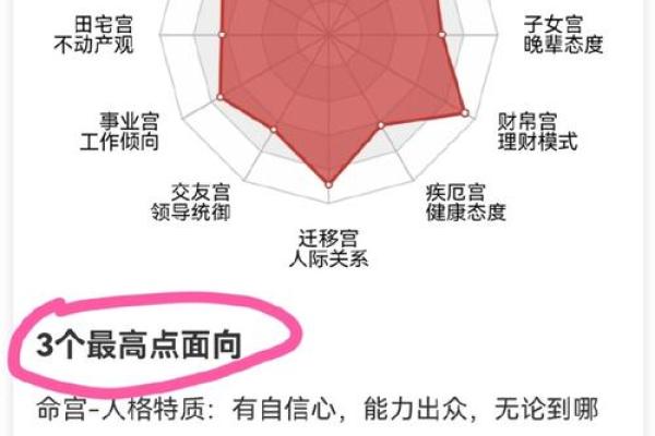 五行命盘与性格：深度剖析你的内在驱动力