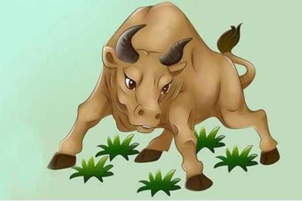 属牛木命缺什么？揭秘你的运势短板