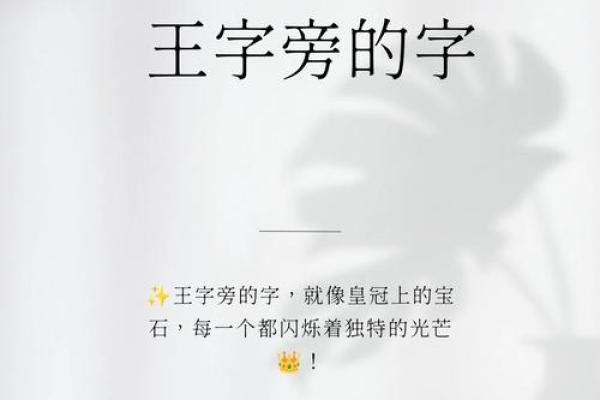 五行看王字旁的字有何不同