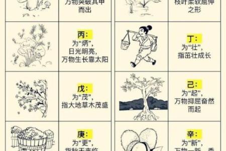 学会天干势，打破命运的束缚