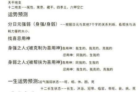 八字天干地支深度剖析：如何借助命理改变运势
