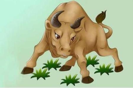 属牛木命缺什么？揭秘你的运势短板