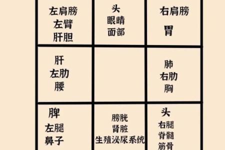奇门阴盘排盘技巧大揭秘：掌握这些方法轻松预测未来