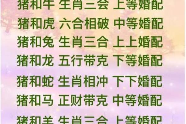 八字配婚：预测婚姻命运的最强工具