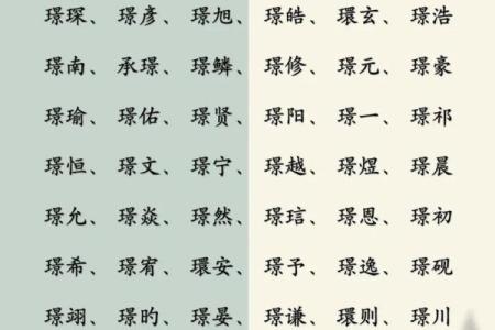 峻字起名大揭秘，如何选出最合适的名字
