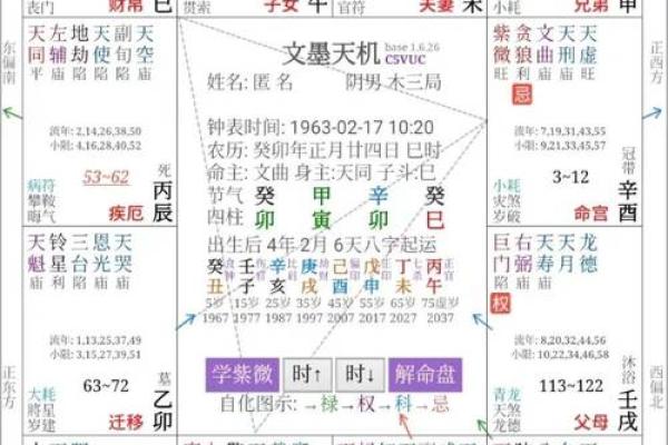紫微排盘揭秘：流年运势全面解析