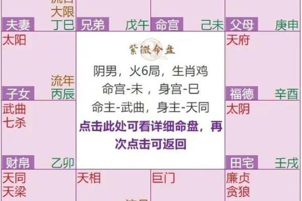 紫微排盘揭秘：流年运势全面解析