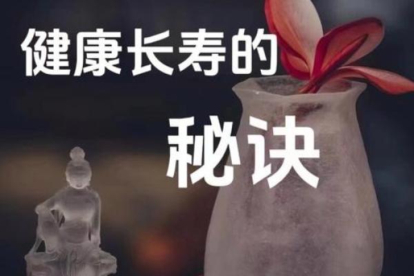 揭秘命坐长生：探寻长寿秘笈的神秘力量