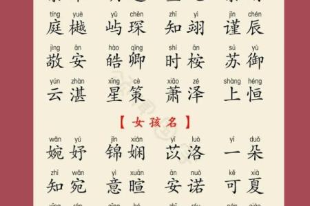 如何为带龙公司取个响亮的名字