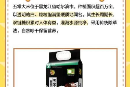 创意大米公司名字大全，让你的品牌脱颖而出