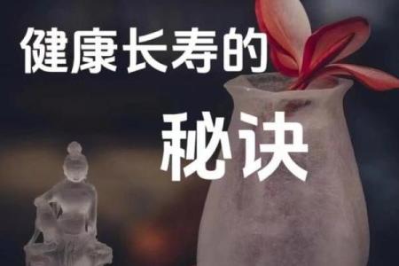 揭秘命坐长生：探寻长寿秘笈的神秘力量