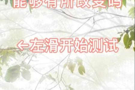 探秘转盘奇门：如何在线排盘改变你的未来