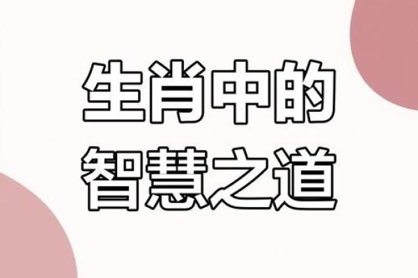 老鼠霸屏：生肖配对中的智慧精灵