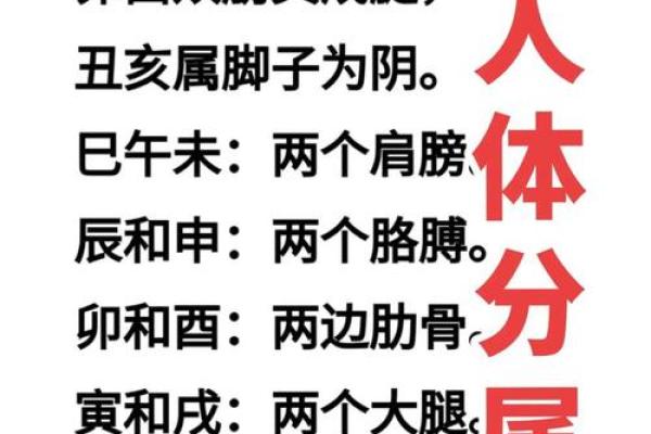 深入分析八字命格，找出影响你命运的关键因素