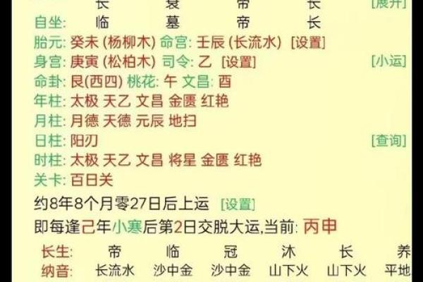 丙日主的喜忌揭示，掌握命理秘诀