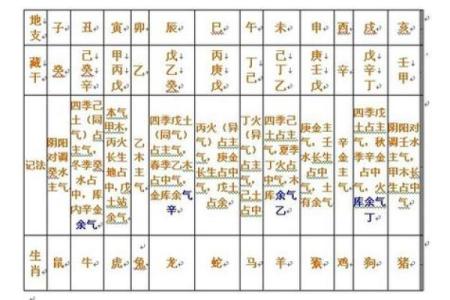 走进天干己酉的世界，揭示它对人生的深远影响