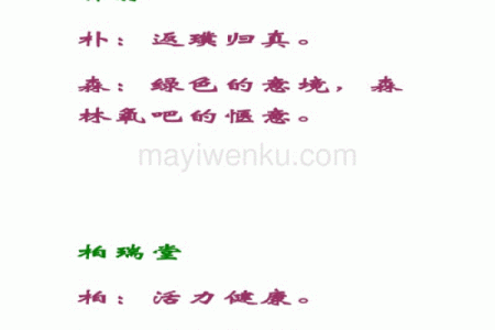 大雅公司起名技巧揭秘，如何打造响亮品牌名