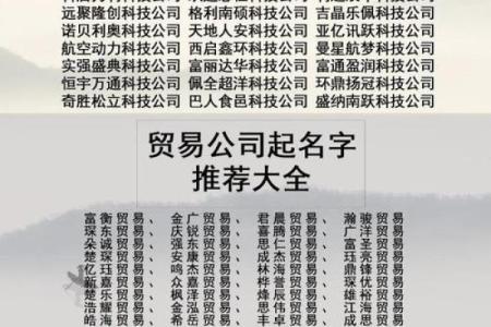 如何选择最适合的公司起名软件，提升企业竞争力