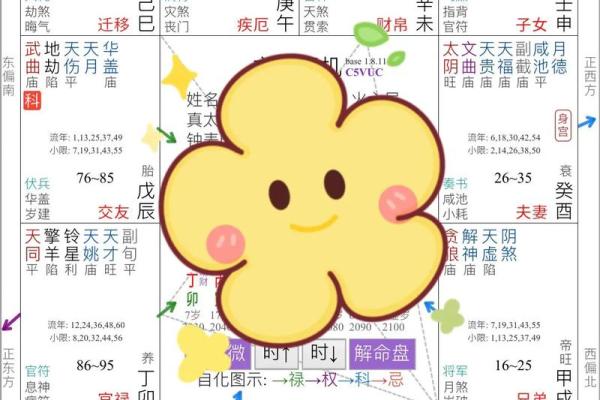 从紫微斗数排盘看你的未来：命运与运势全透视
