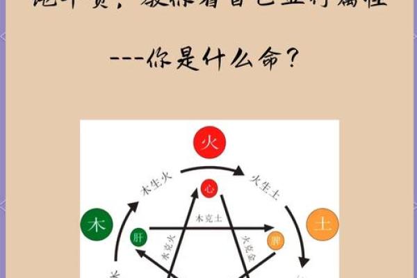 从五行角度看强的属性