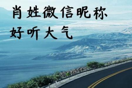 怎么为肖姓宝宝挑个既有寓意又有气质的名字