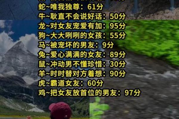 生肖绝配指南：属狗人不可错过的最佳伴侣生肖