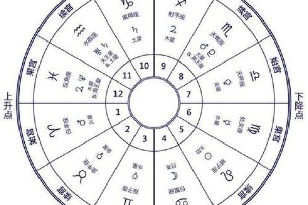 子豪星座：揭秘十二星座中的神秘力量