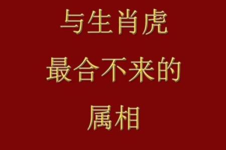 五行中的虎代表了什么？
