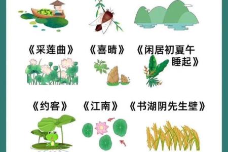 荷花之美，如何为你的孩子选一个诗意的名字