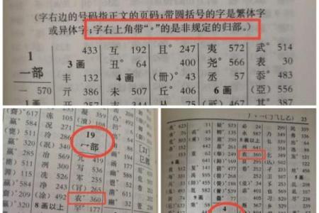 农字五行到底属什么？