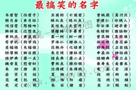 数码公司命名全攻略，找到最适合你的名字