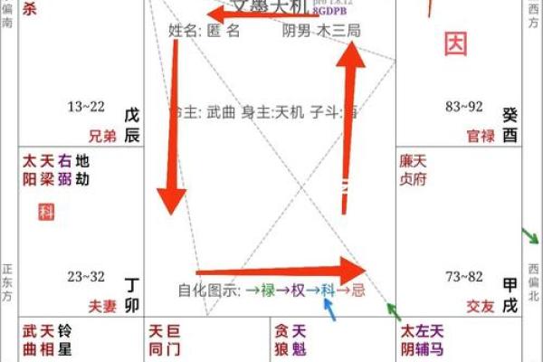 紫薇排盘图解深度分析，命运走向一目了然