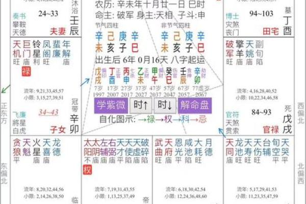 紫微斗数排盘系统下载，精准预测命运运程