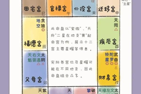 紫微斗数排盘系统下载，精准预测命运运程