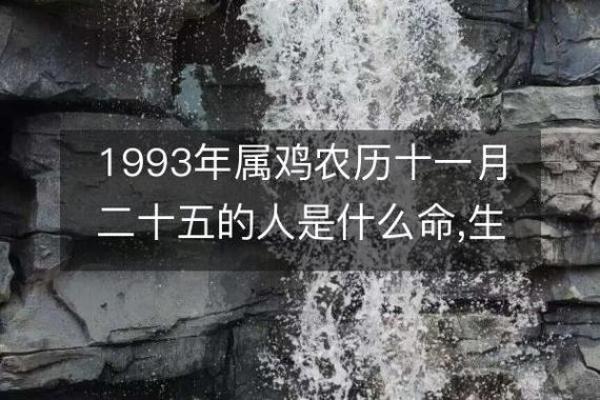 属鸡遇水命：揭秘哪些年份的人财运亨通